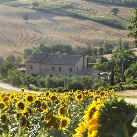 "La Casa Degli Ulivi Art B&B" 리페 외부 사진