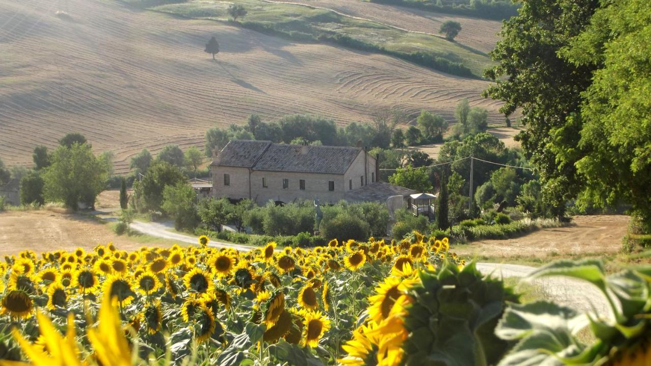 "La Casa Degli Ulivi Art B&B" 리페 외부 사진